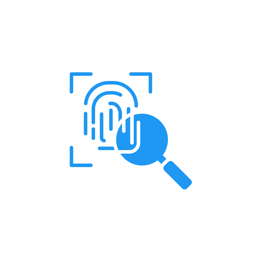 Detailed Forensic Analysis
