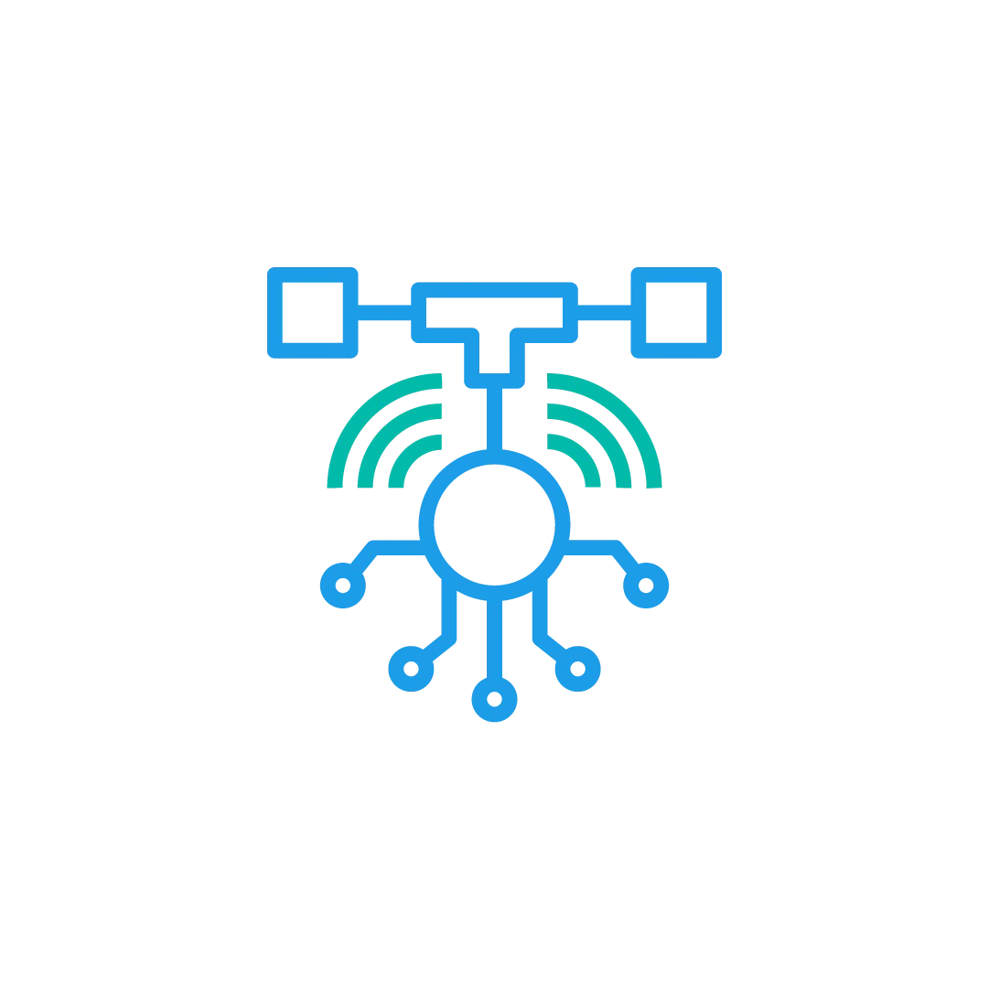 Network Penetration Testing icon